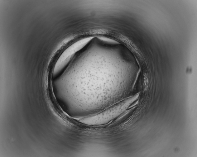 X0000099460726200805301534