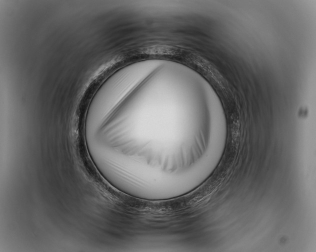 X0000099460727200805301534