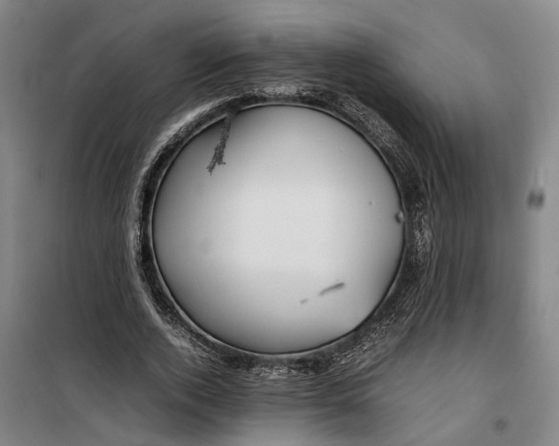 X0000099460728200805301534