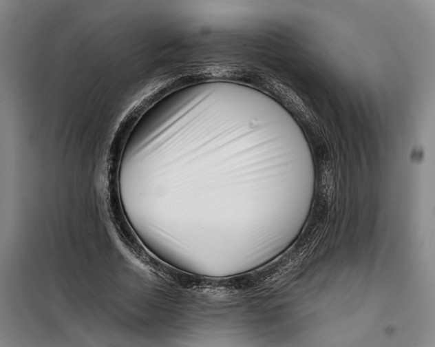 X0000099460730200805301534