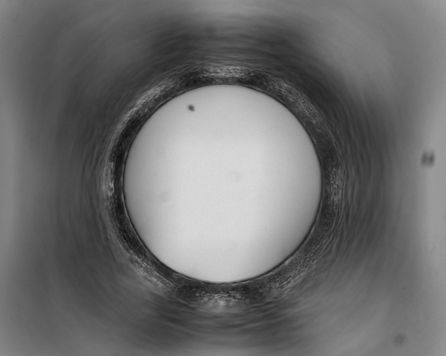 X0000099460731200805301534