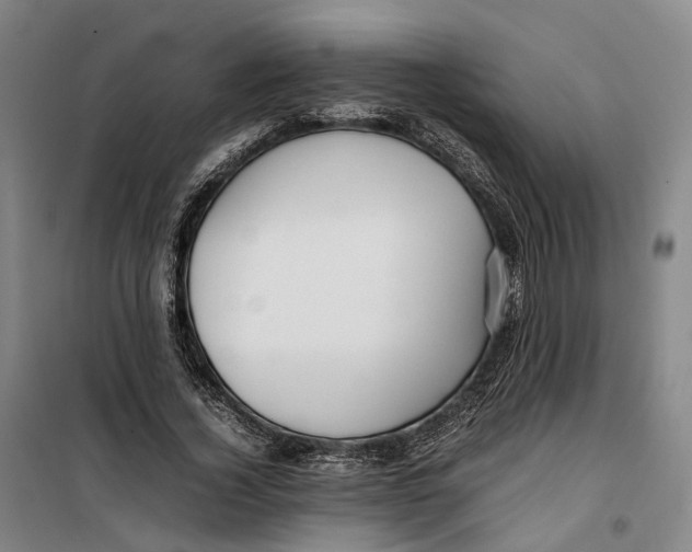 X0000099460732200805301534