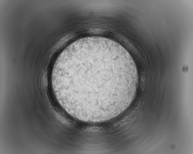 X0000099460734200805301534