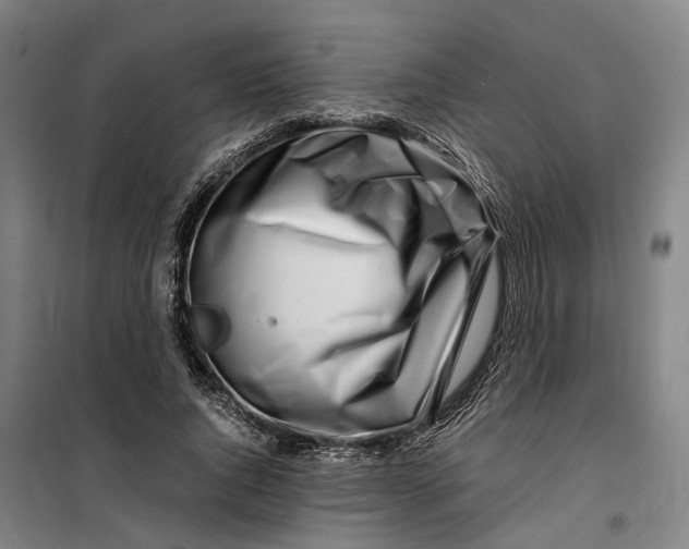 X0000099460736200805301534