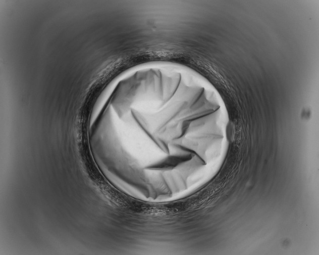 X0000099460738200805301534