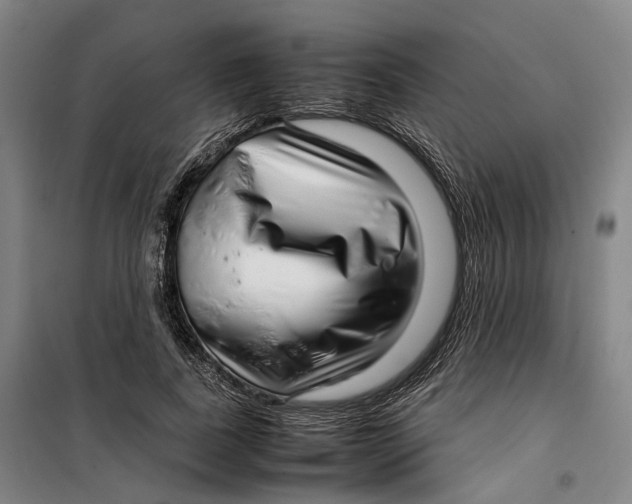 X0000099460739200805301534