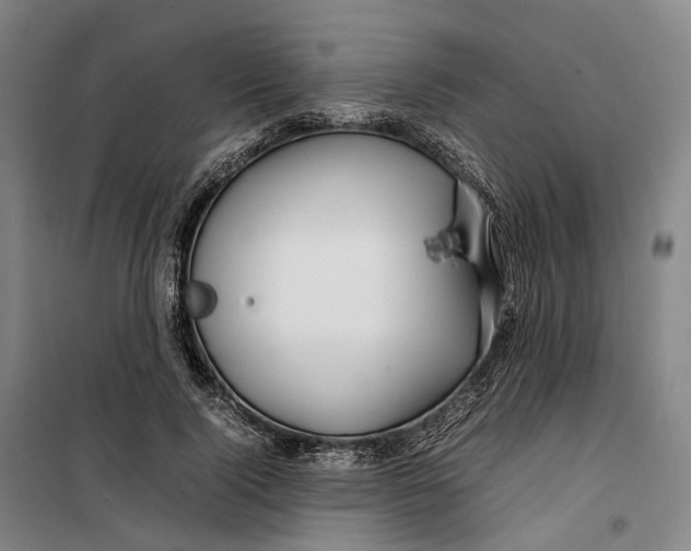 X0000099460740200805301534