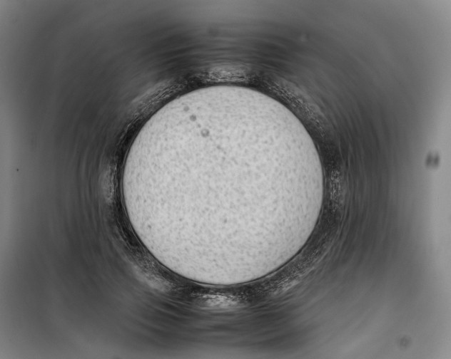 X0000099460741200805301534