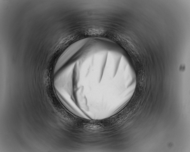 X0000099460743200805301534