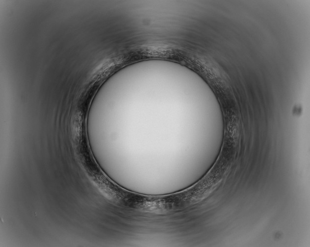 X0000099460744200805301534