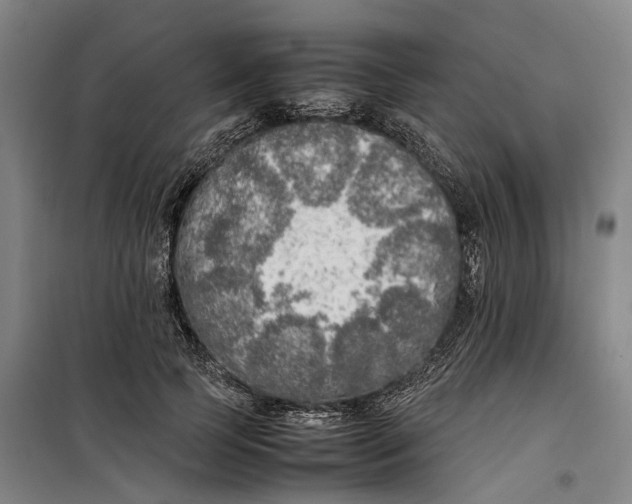 X0000099460745200805301534