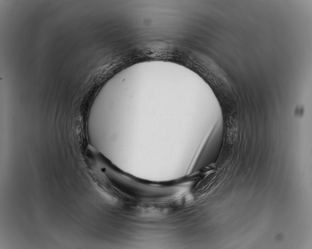 X0000099460748200805301534