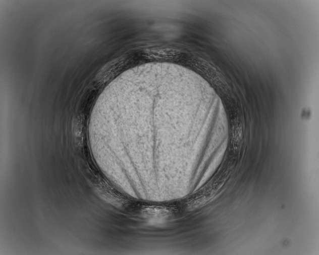 X0000099460749200805301534