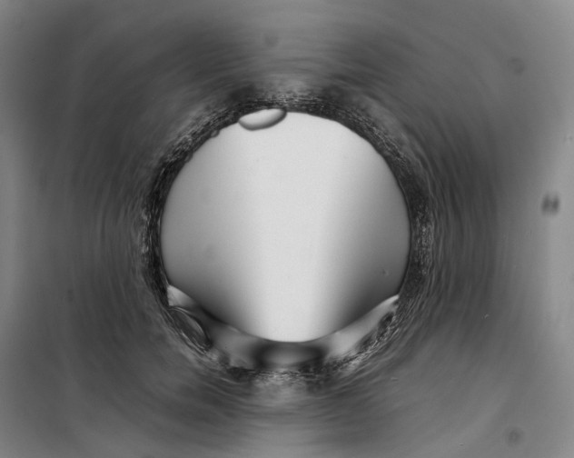 X0000099460750200805301534