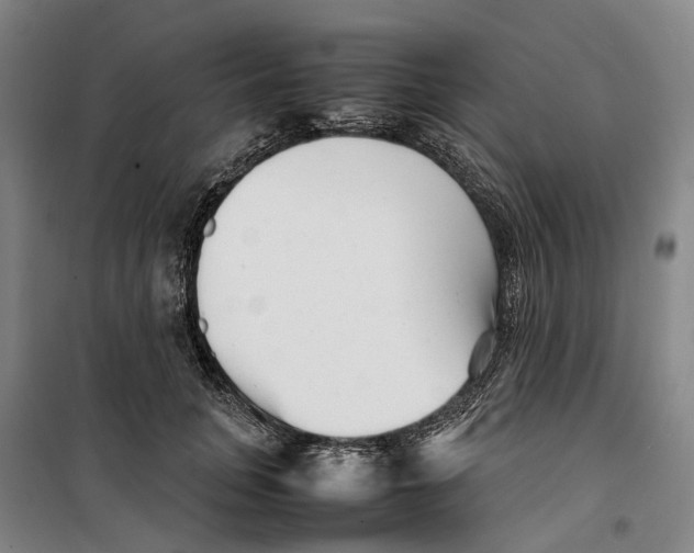 X0000099460751200805301534