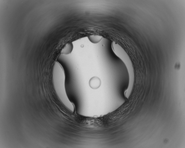 X0000099460752200805301534