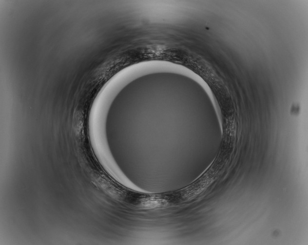 X0000099460754200805301534