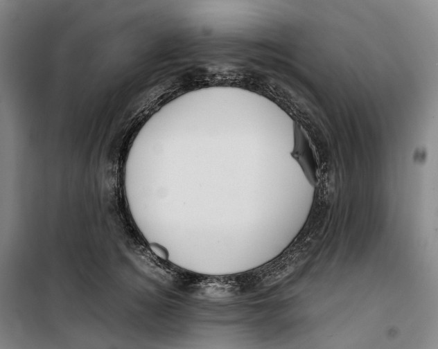 X0000099460756200805301534