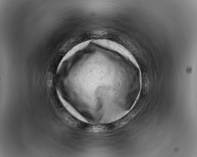 X0000099460758200805301534