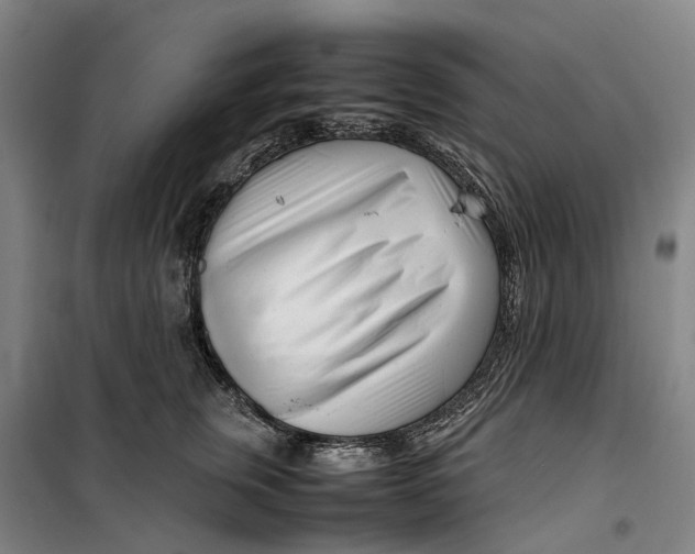 X0000099460759200805301534