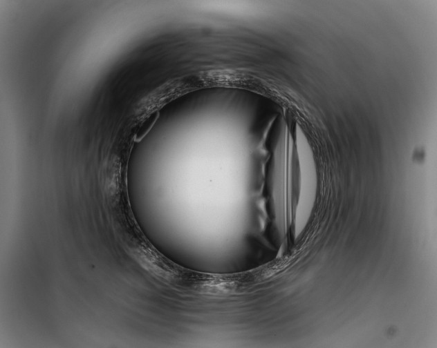 X0000099460760200805301534