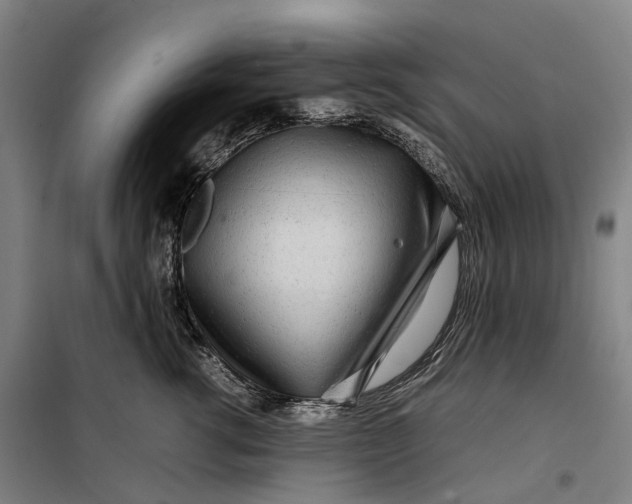 X0000099460762200805301534