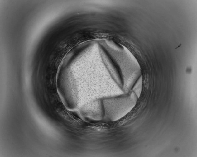 X0000099460763200805301534