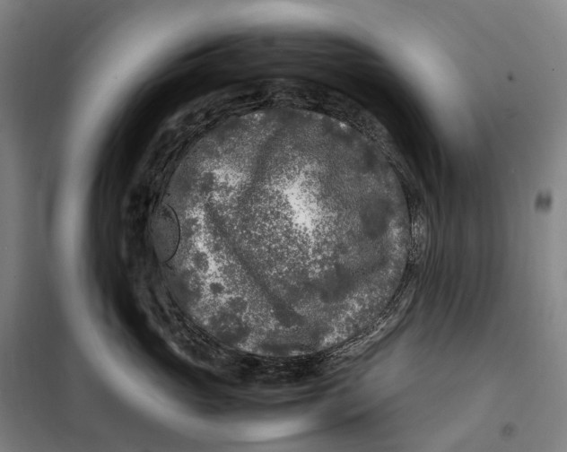 X0000099460765200805301534