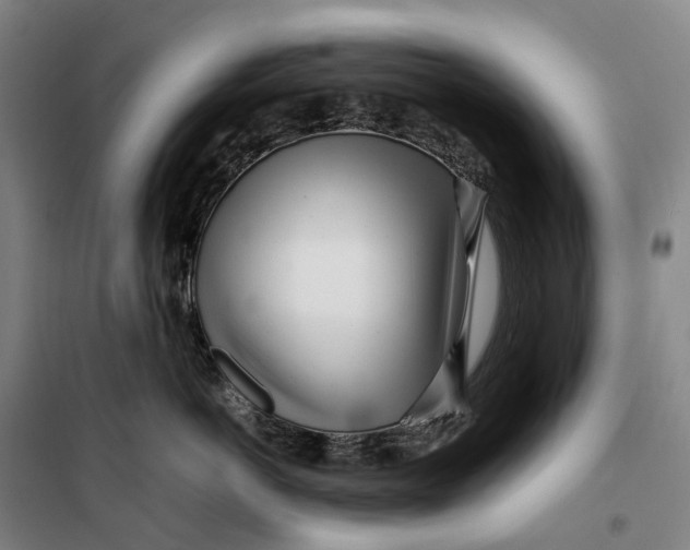 X0000099460766200805301534