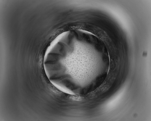 X0000099460767200805301534