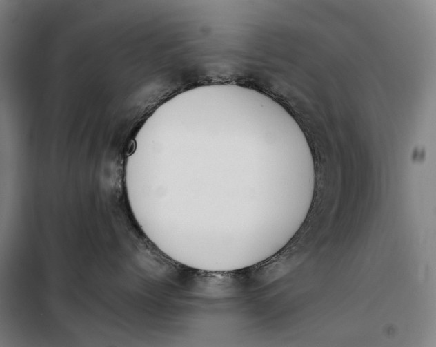 X0000099460768200805301534