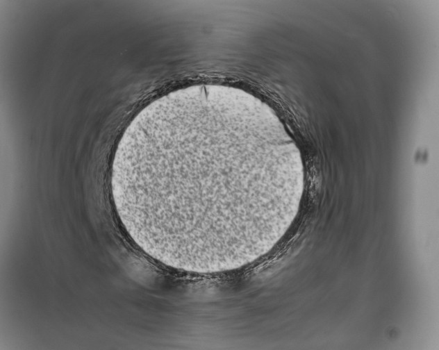 X0000099460769200805301533