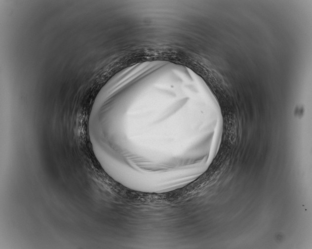 X0000099460770200805301533