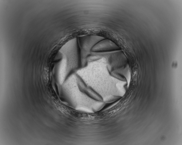 X0000099460772200805301533