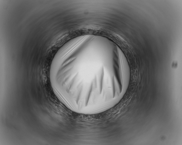 X0000099460774200805301533