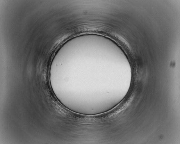 X0000099460777200805301533