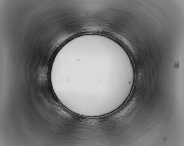 X0000099460778200805301533