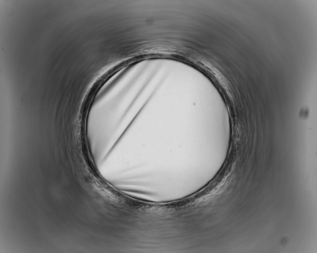 X0000099460779200805301533