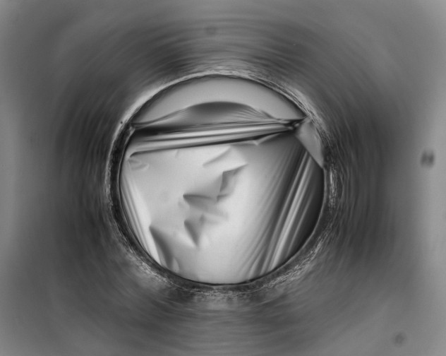 X0000099460780200805301533