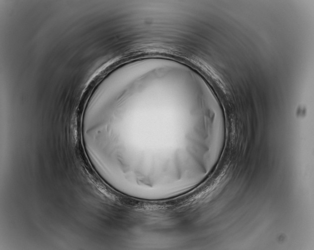 X0000099460782200805301533