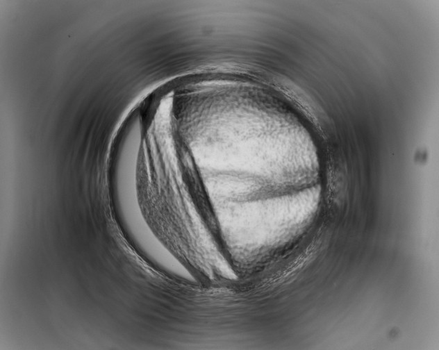 X0000099460784200805301533