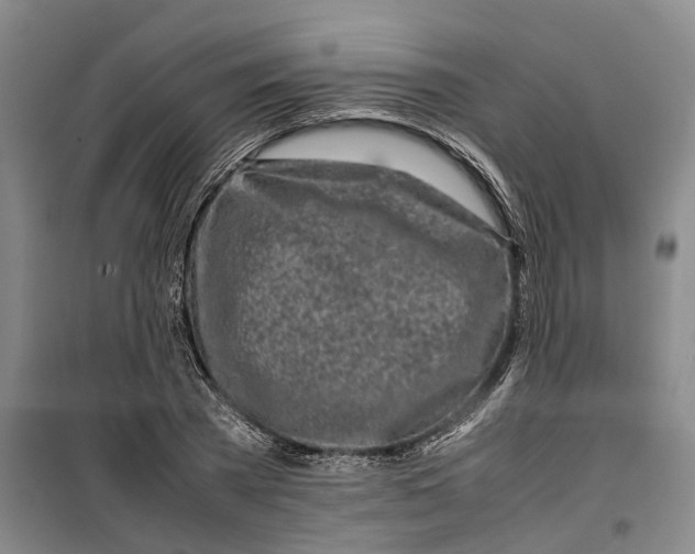 X0000099460785200805301533