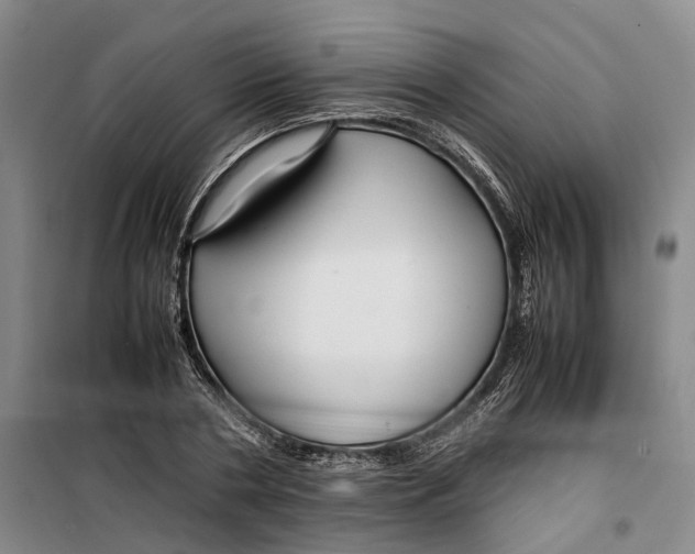 X0000099460786200805301533