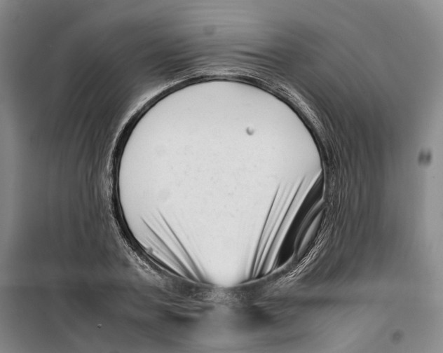 X0000099460787200805301533