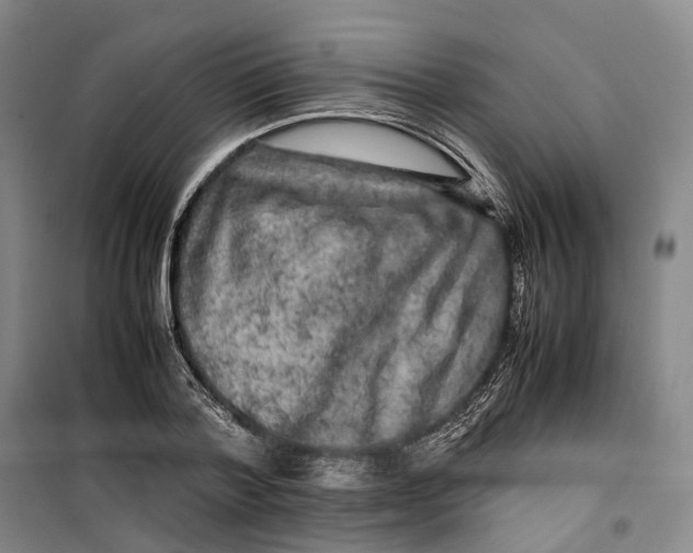 X0000099460788200805301533