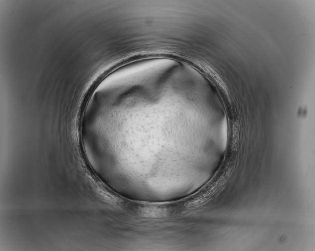 X0000099460789200805301533