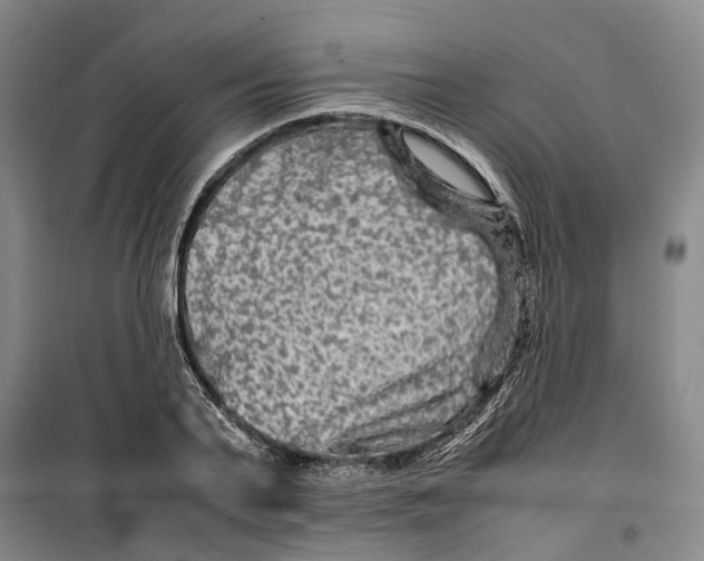 X0000099460791200805301533