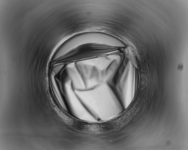 X0000099460792200805301533