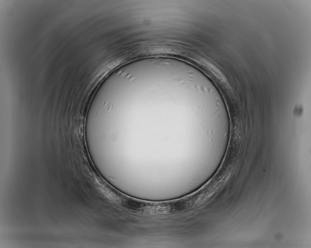 X0000099460793200805301533