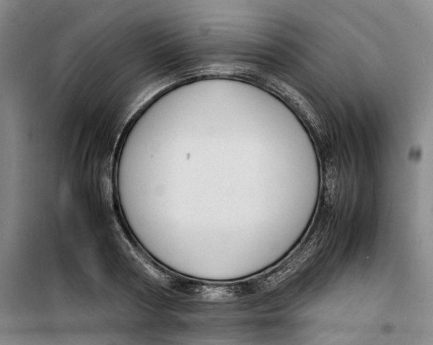 X0000099460794200805301533